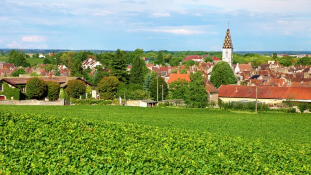 Appel à projets : territoires périurbains et peu denses